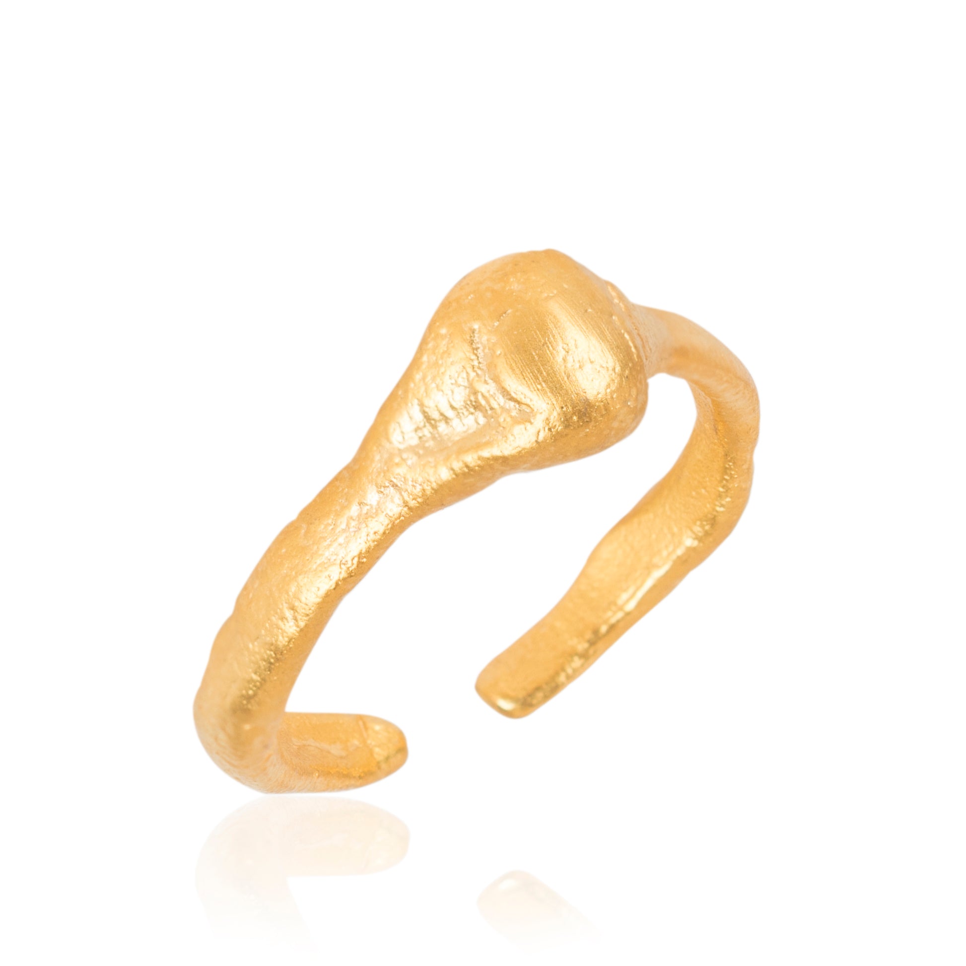 reign + curled snake + pinky + teta 602Lab