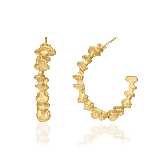 fosil hoops earring 602Lab