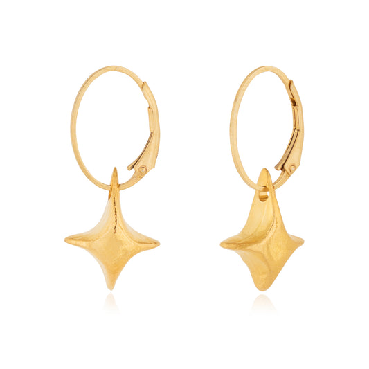 nasal hoops earring 602Lab