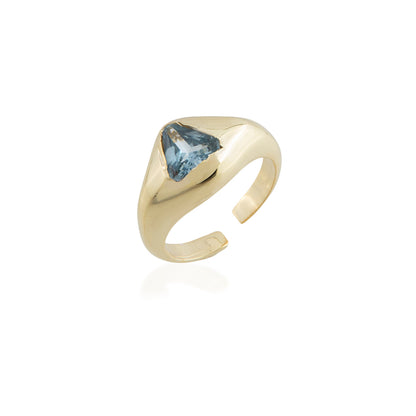 trion ring 602Lab