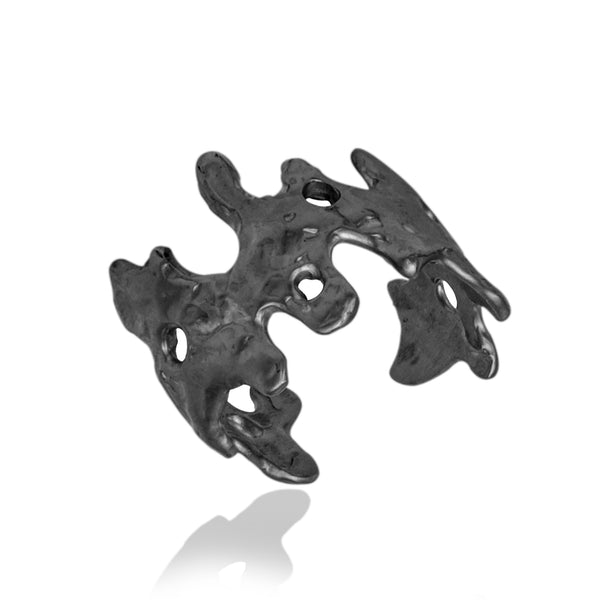 amph ring 602Lab