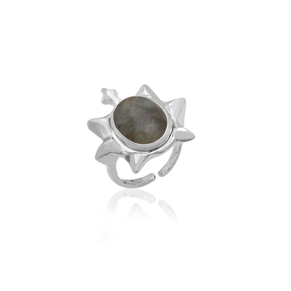 helios ring 602Lab